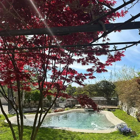 Domus Parva - Con Bio-piscina, Privata E Panoramici Apartment *